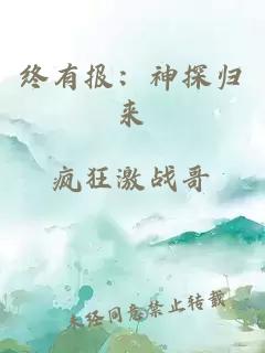 终有报：神探归来