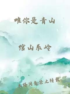 唯你是青山